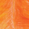 Obraz 2/2 - Marabu perie - oranžové, 8-10 cm, 22 ks/bal