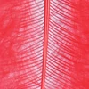 Marabu perie - červené, 8-10 cm, 22 ks/bal