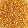 Koráliky, priehľadné, so strieborným lemovaním, 2 mm - zlaté