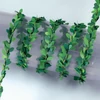 Mini girlanda - buxus, 3 m
