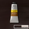 Akrylová farba Winsor&Newton Galeria, 60 ml - 076, burnt umber