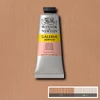 Akrylová farba Winsor&Newton Galeria, 60 ml - 257, pale rose blush