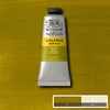 Akrylová farba Winsor&Newton Galeria, 60 ml - 294, green gold