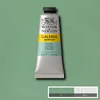 Akrylová farba Winsor&Newton Galeria, 60 ml - 435, pale olive