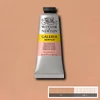 Akrylová farba Winsor&Newton Galeria, 60 ml - 437, pale terracotta