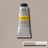 Akrylová farba Winsor&Newton Galeria, 60 ml - 438, pale umber