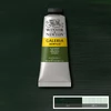 Akrylová farba Winsor&Newton Galeria, 60 ml - 447, olive green