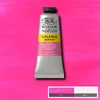 Akrylová farba Winsor&Newton Galeria, 60 ml - 448, opera rose
