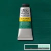 Akrylová farba Winsor&Newton Galeria, 60 ml - 482, permanent green deep