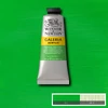 Akrylová farba Winsor&Newton Galeria, 60 ml - 483, permanent green light
