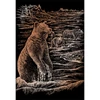 Sada na gravírovanie obrázkov s rysovacou ihlou, 20x25 cm - Medvedíky grizzly, medená