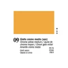 Olejová farba Ferrario Van Dyck, 20 ml - 09, chrome yellow middle