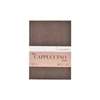 Náčrtník a skicár Hahnemühle The Cappuccino Book, 120 g, 40 listov - A5