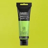 Akrylová farba Liquitex Basics, 118 ml - 840, yellow green brilliant