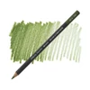 Akvarelová ceruzka Múzeum Caran d'Ache - 249, olive