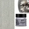 Metalická akrylová farba Glamour, 50 ml - strieborno čierna