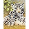 Sada očíslovaných omaľovánok, akrylová farba+štetec, 22x30 cm - Tiger