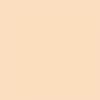 Obojstranný alkoholový popisovač Promarker Brush - O729, blush
