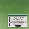 Akvarelová farba Schmincke Horadam, 1/1 v celej panvičke - 512, chromium oxide green