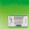 Akvarelová farba Schmincke Horadam, 1/1 v celej panvičke - 526, permanent green