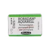 Akvarelová farba Schmincke Horadam, 1/1 v celej panvičke - 526, permanent green