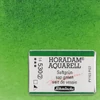 Akvarelová farba Schmincke Horadam, 1/1 v celej panvičke - 530, sap green