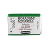 Akvarelová farba Schmincke Horadam, 1/1 v celej panvičke - 530, sap green