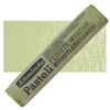 Suchý pastel Schmincke - olive green 1, M
