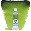Akvarelová farba v tubeTalens Van Gogh, 10 ml - 623, sap green