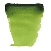 Akvarelová farba Talens Van Gogh, 1/2 panvičky - 623, sap green