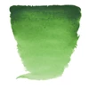 Akvarelová farba Talens Van Gogh, 1/2 panvičky - 644, Hooker green light