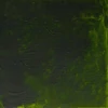 Olejová alkydová farba Winsor&Newton Griffin, 37 ml - 503, permanent sap green