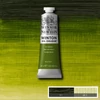 Olejová farba Winsor&Newton Winton, 37 ml - 599, sap green