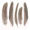 Obraz 2/2 - Perličkové perie, 16-19 cm, 5 ks - prírodné