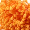 Obraz 2/2 - Peľové trubice, opeľovače kvetov, 6 cm, 100 ks - oranžové
