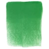 Suchý pastel v tégliku PanPastel - 640.5, permanent green