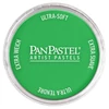 Suchý pastel v tégliku PanPastel - 640.5, permanent green