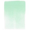 Suchý pastel v tégliku PanPastel - 640.8, permanent green tint