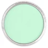 Suchý pastel v tégliku PanPastel - 640.8, permanent green tint