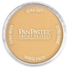 Suchý pastel v tégliku PanPastel - 911.5, rich gold