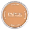 Suchý pastel v tégliku PanPastel - 930.5, bronze