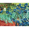 Obraz 1/6 - Číslovaná omaľovánka v sade, na napnutom plátne, 40x50 cm - Van Gogh: Dúhovky