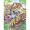 Obraz 2/3 - Číslovaná omaľovánka v sade, farebné ceruzky+strúhadlo, 22x30 cm - Jaguar