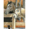Obraz 2/3 - Číslovaná omaľovánka v sade, farebné ceruzky+strúhadlo, 22x30 cm - Kone