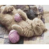 Obraz 1/18 - Diamantové mozaikové puzzle, na napnutom plátne, 40x50 cm - Mačka s pradienkom