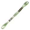 Vyšívacia niť, DMC Mouliné (rozdelená, 6 vlákien), 8 m - 229-368, Pistachio Green - LT