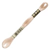 Vyšívacia niť, DMC Mouliné (rozdelená, 6 vlákien), 8 m - 404-3774, Desert Sand - VY LT