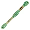 Vyšívacia niť, DMC Mouliné (rozdelená, 6 vlákien), 8 m - 491-125, Variegated - Seafoam Green