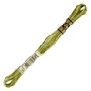 Vyšívacia niť, DMC Mouliné (rozdelená, 6 vlákien), 8 m - 493-94, Variegated - Khaki Green