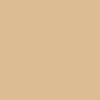 Akrylová farba v spreji, EVOLUTION lesklá, 400 ml - RAL1001 beige